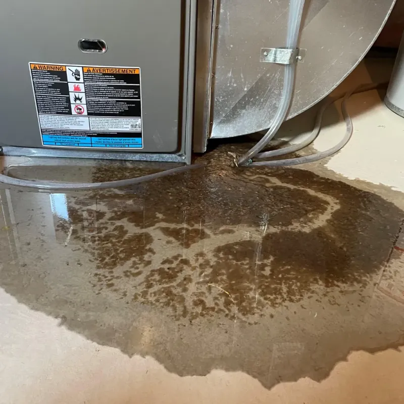 Appliance Leak Cleanup in Randolph County, AL